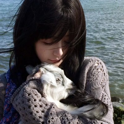 手机刑事 THE MOVIE2 石川五右卫门一族的阴谋～决斗！戈鲁戈达森林